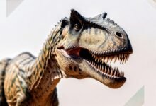 what dinosaur has 500 teeth