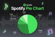 spotify pie chart