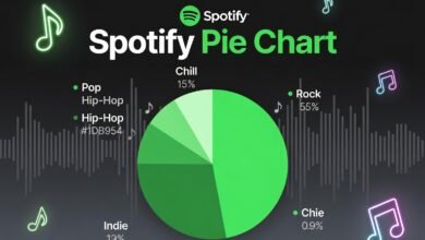 spotify pie chart