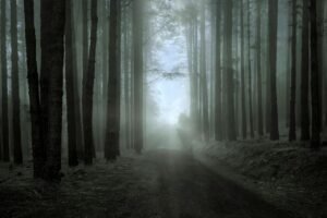 Guia Silent Hill Geekzilla: sendero nebuloso en un bosque oscuro que evoca la niebla del pueblo de Silent Hill