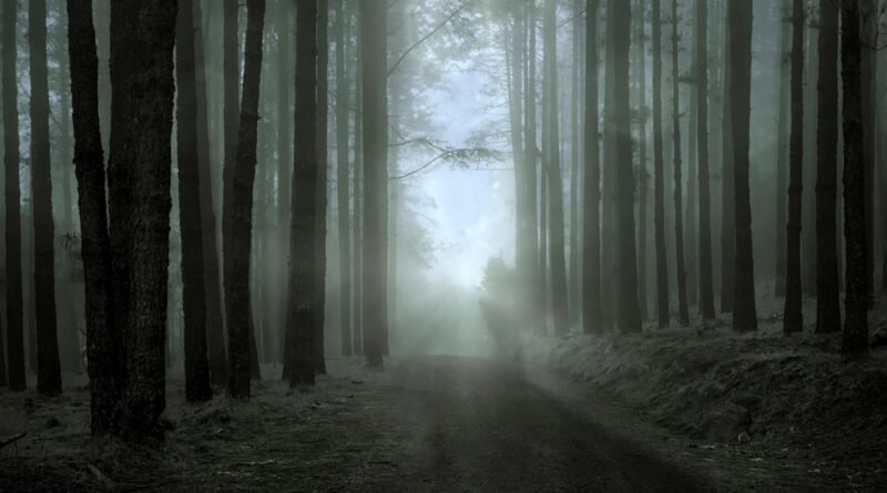 Guia Silent Hill Geekzilla: sendero nebuloso en un bosque oscuro que evoca la niebla del pueblo de Silent Hill